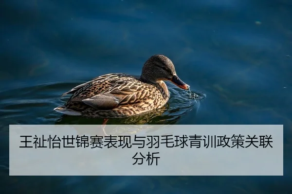 王祉怡世锦赛表现与羽毛球青训政策关联分析